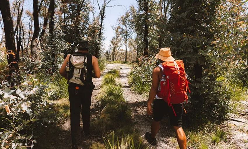 Blue Mountains Guided Overnight 4WD Camping Adventure 