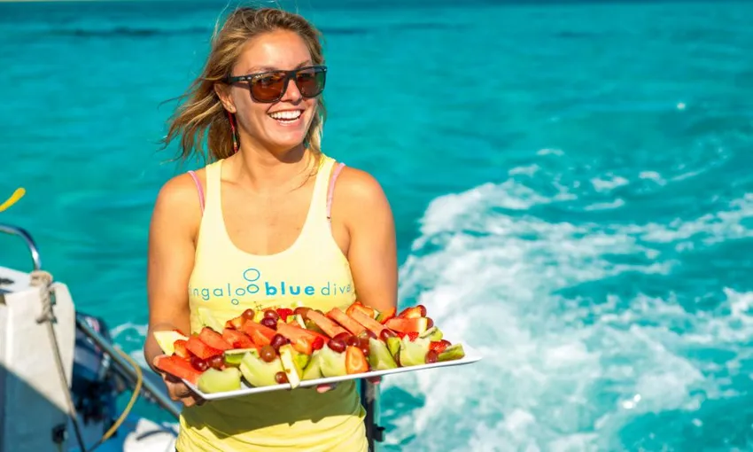 Exmouth Off Season Whale Shark Swim & Whale Watching Tour