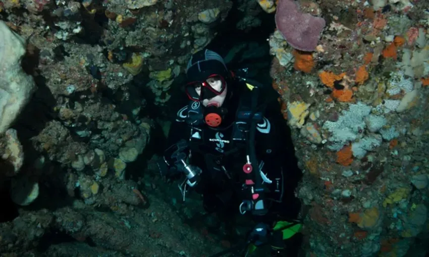 Rottnest Island Scuba Dive Cruise, Full Day - Departs Fremantle