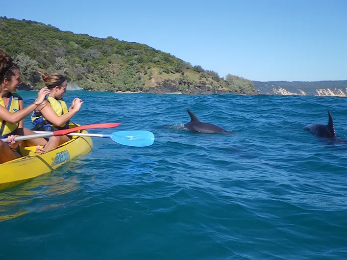 Wildlife Kayak Tour & 4WD Adventure, 3 Hours - Rainbow Beach
