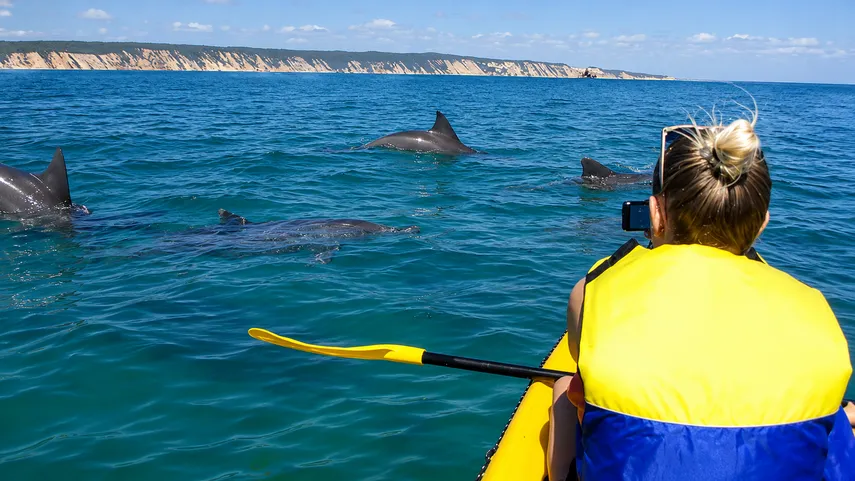 Wildlife Kayak Tour & 4WD Adventure, 3 Hours - Rainbow Beach