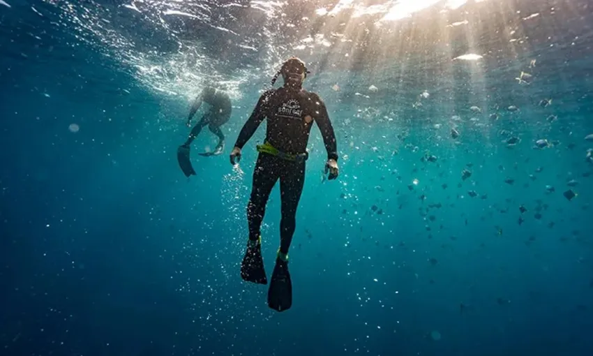 Full Freediving Course, 2 Days - Sunshine Coast