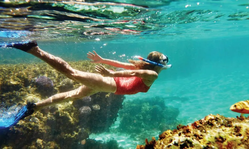 Rottnest Island Ferry with Bike & Snorkel Hire - Hillarys Boat Harbour, Perth