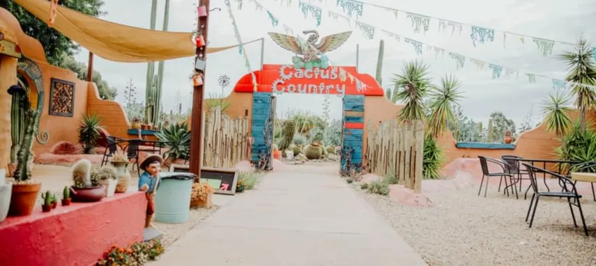Cactus Country Entry