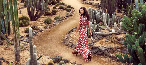 Cactus Country Garden Entry