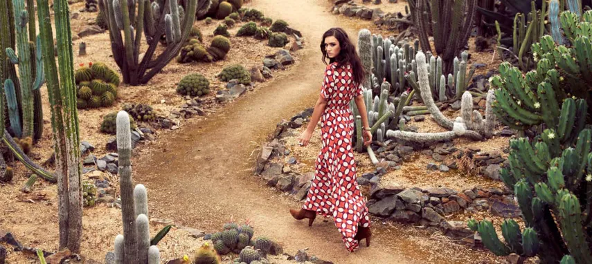 Cactus Country Entry