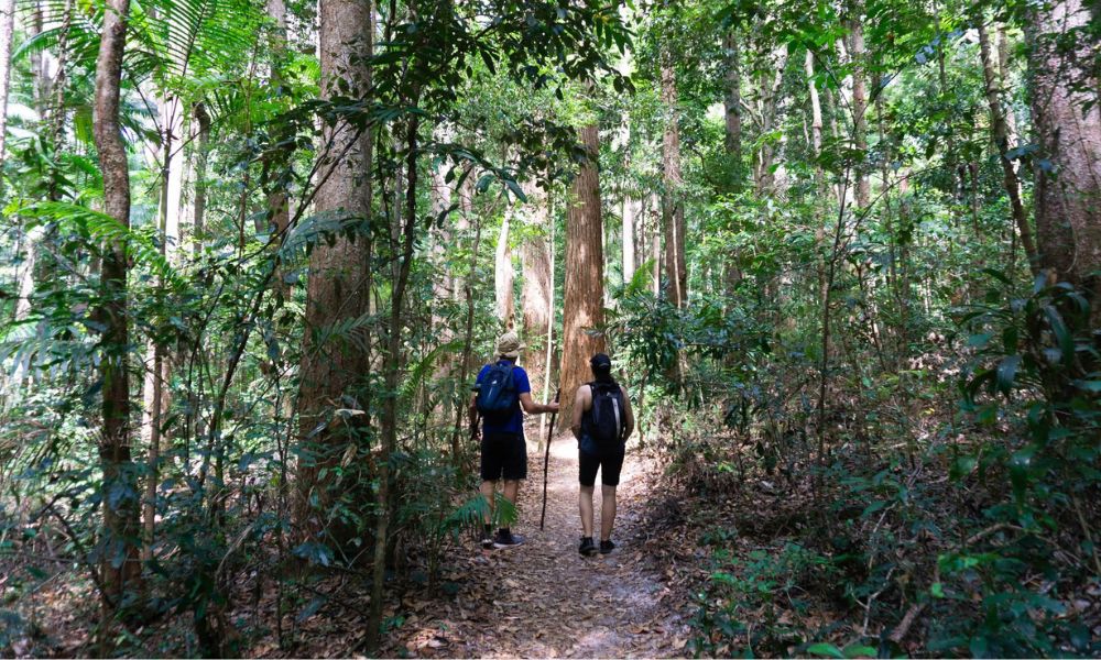 Fraser Island Lake McKenzie Overnight Hike Adventure - Hervey Bay - For 2