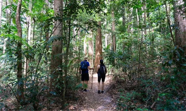Fraser Island Lake McKenzie Overnight Hike Adventure - Hervey Bay - For 2