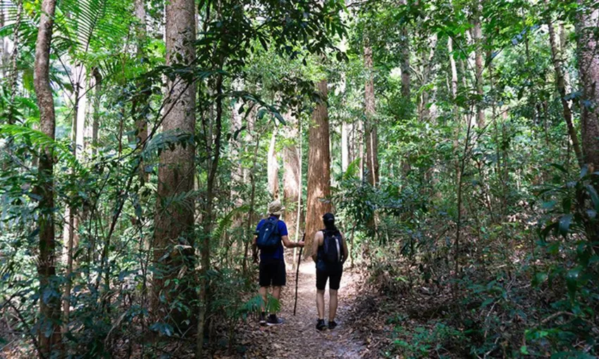 3 Day Fraser Island Coast to Coast Adventure Hike - Hervey Bay - For 2
