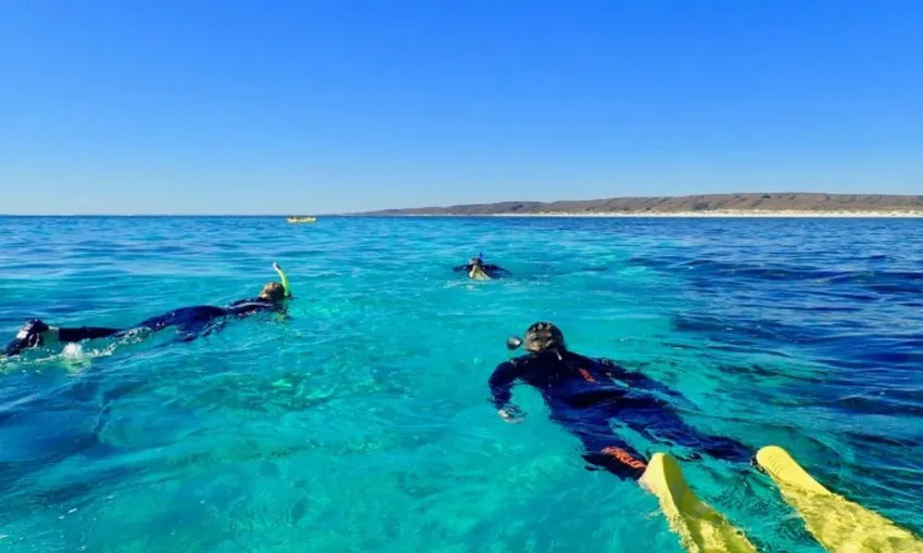 Ningaloo Reef Kayak & Snorkel Tour, Full Day