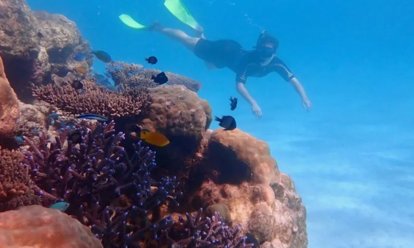 Ningaloo Reef Kayak & Snorkel Tour, Full Day