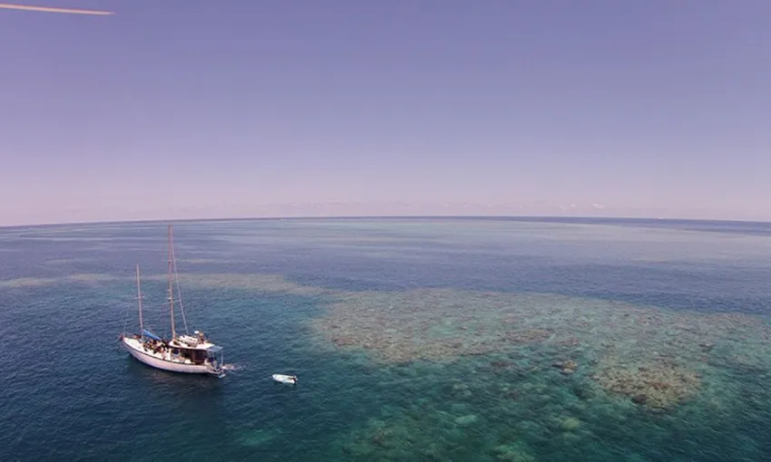 Snorkel and Scuba Dive Adventure, 2 Days - Great Barrier Reef