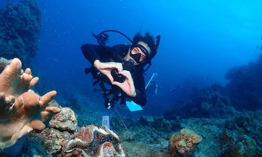 Snorkel and Scuba Dive Adventure, 2 Days - Great Barrier Reef