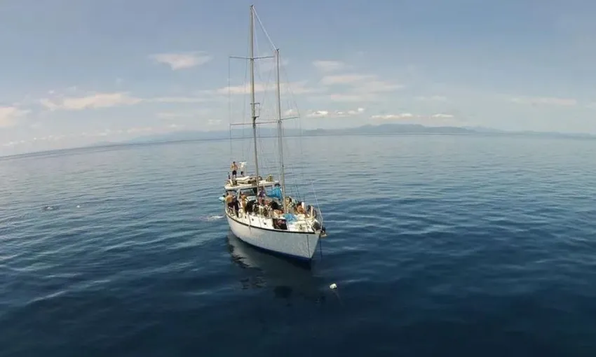 Snorkel and Scuba Dive Adventure, 2 Days - Great Barrier Reef