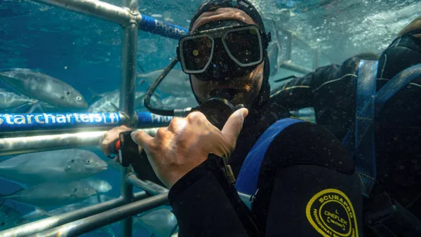 Port Lincoln Tour with Great White Shark Cage Dive, 2 Nights