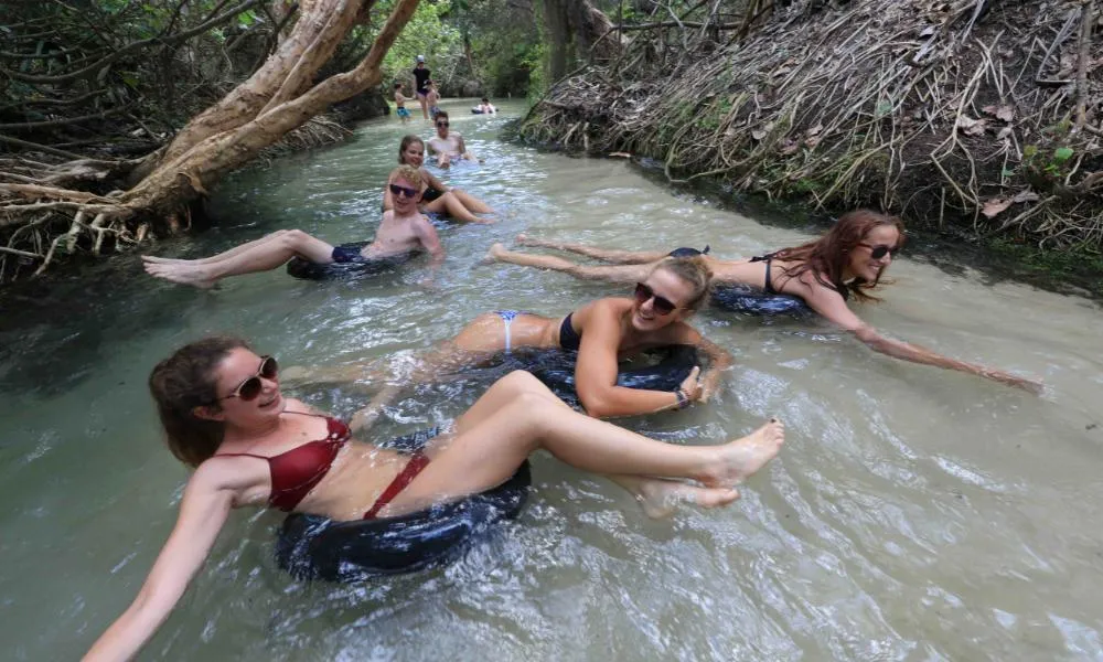 3 Day K'gari (Fraser Island) 4WD Tag-Along Tour | Experience OZ-7