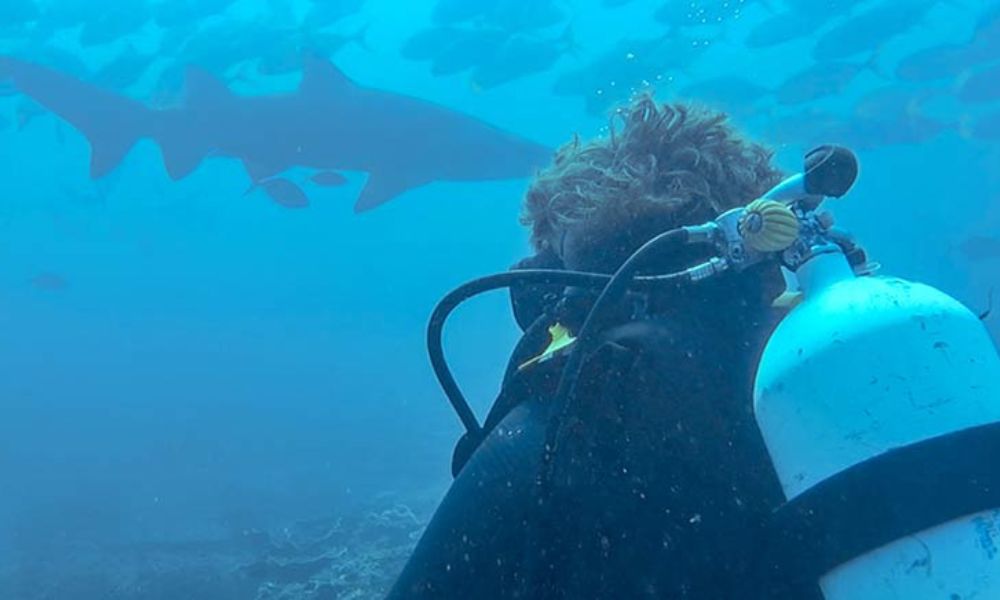 Grey Nurse Shark Double Dive, 4 Hours - Nurse Rock
