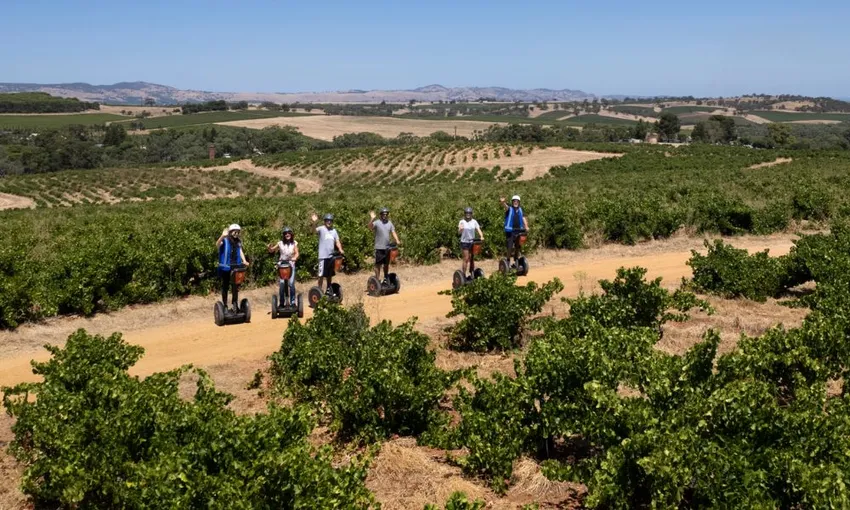 Barossa Valley Segway Tour, 90 Minutes