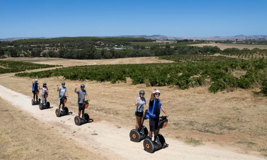 Barossa Valley Segway Tour, 90 Minutes