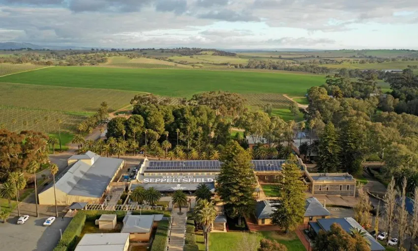 Barossa Valley Segway Tour, 90 Minutes