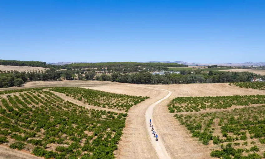 Barossa Valley Segway Tour, 90 Minutes