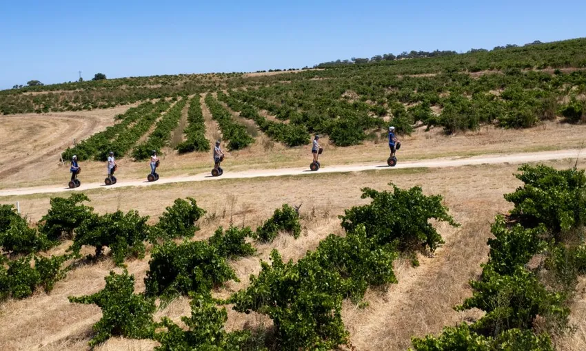 Barossa Valley Segway Tour, 90 Minutes