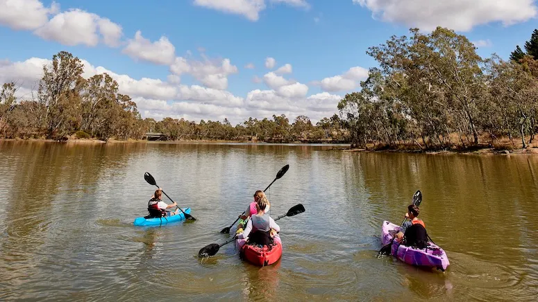 Barossa Valley Single Kayaking Experience, 2 Hours 