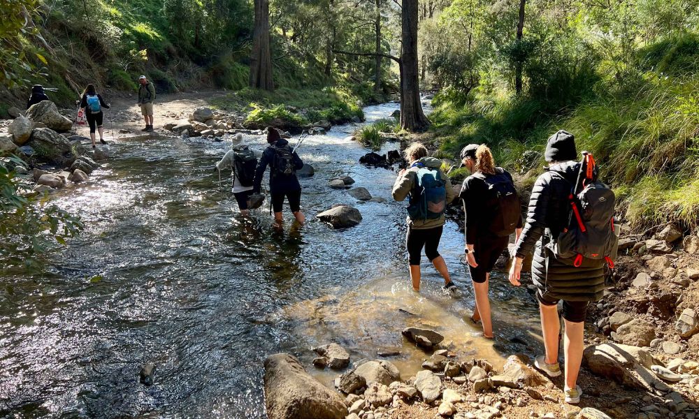 Six Foot Track Bushwalking Adventure, 2 Days - Blue Mountains