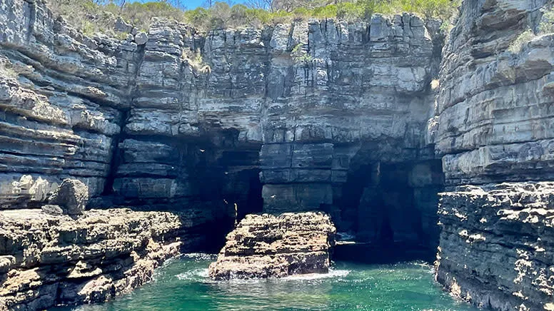 South Coast Passage Wildlife Cruise , 2 Hours