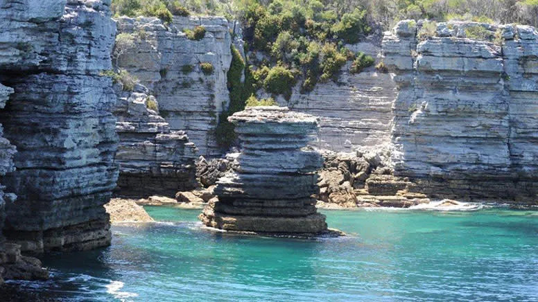 South Coast Passage Wildlife Cruise , 2 Hours