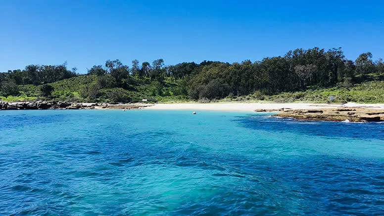 South Coast Passage Wildlife Cruise , 2 Hours