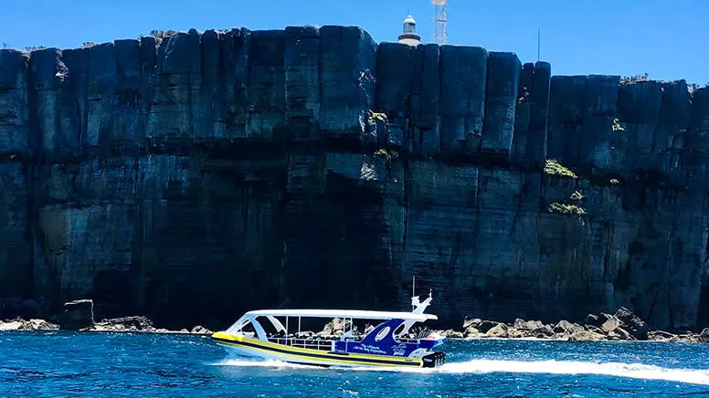 South Coast Passage Wildlife Cruise , 2 Hours