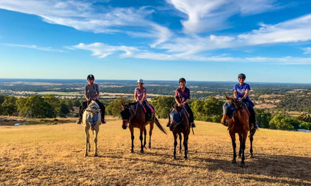 Jarrahdale Horse Trail Ride, 2 Hours 