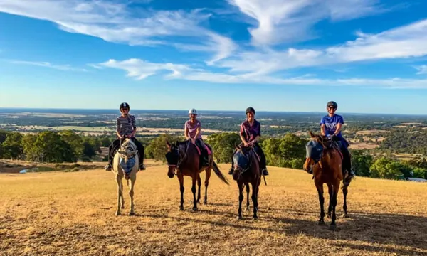 Jarrahdale Horse Trail Ride, 2 Hours 