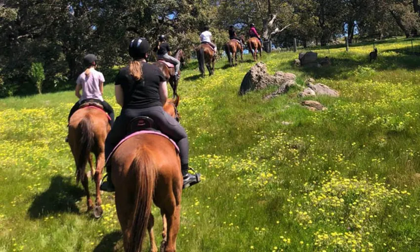 Jarrahdale Horse Trail Ride, 2 Hours