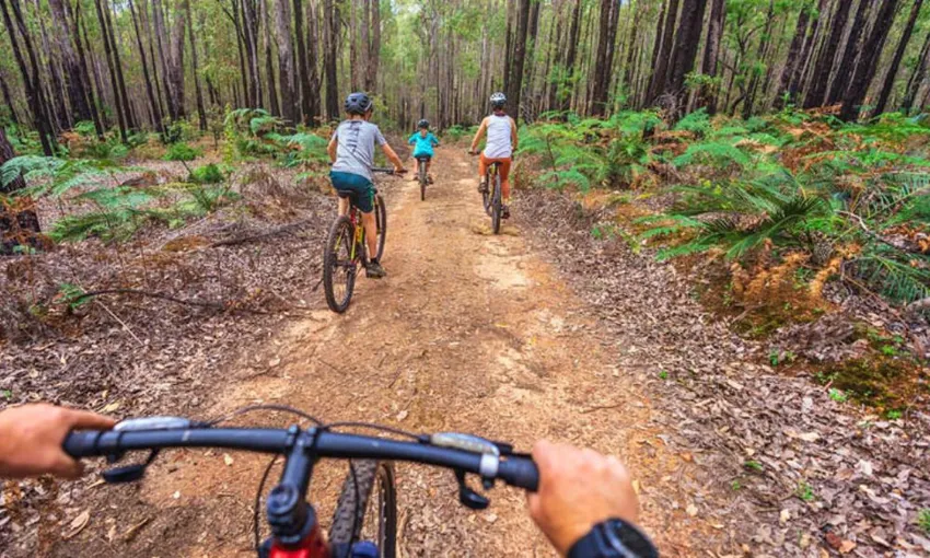Dwellingup Munda Biddi Trail Mountain Biking,  Full Day