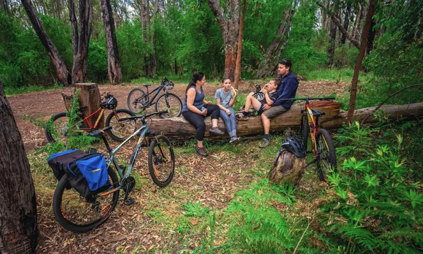 Dwellingup Munda Biddi Trail Mountain Biking,  Full Day