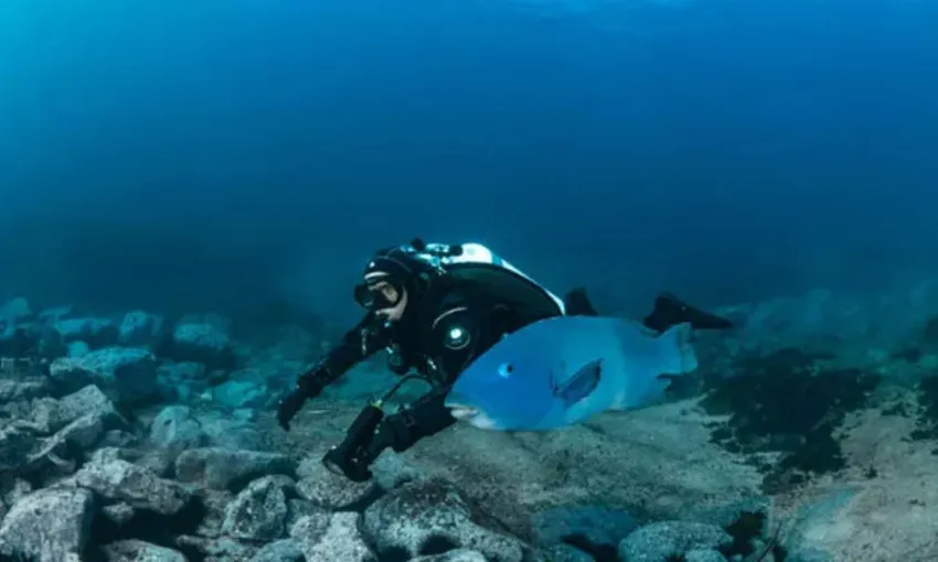 Sydney Introductory Scuba Diving Session, 4 Hours 