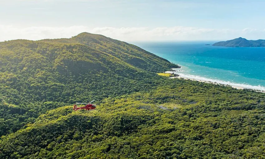 Great Barrier Reef and Rainforest Scenic Flight, 45 Minutes - Cairns