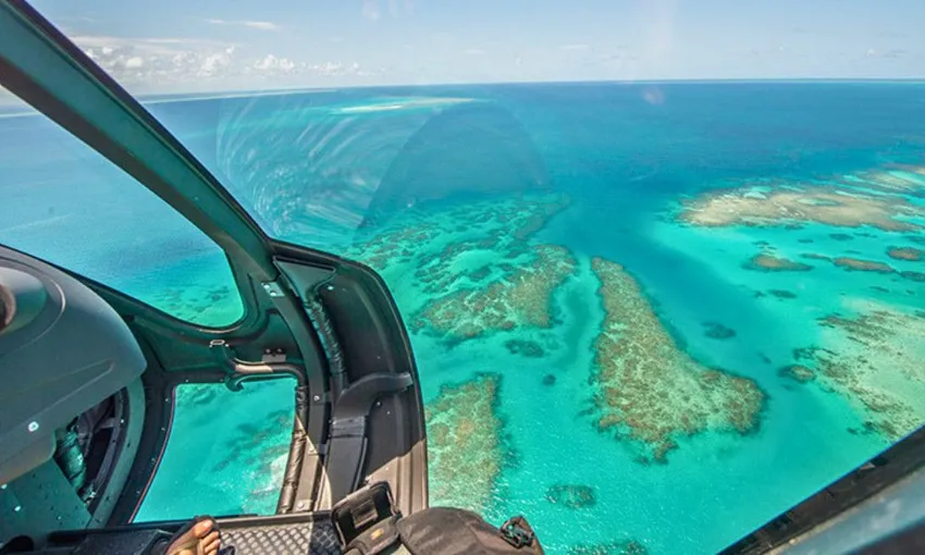 Great Barrier Reef and Rainforest Scenic Flight, 45 Minutes - Cairns