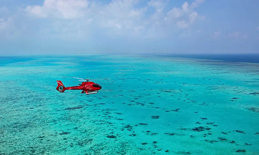 Great Barrier Reef and Rainforest Scenic Flight, 45 Minutes - Cairns