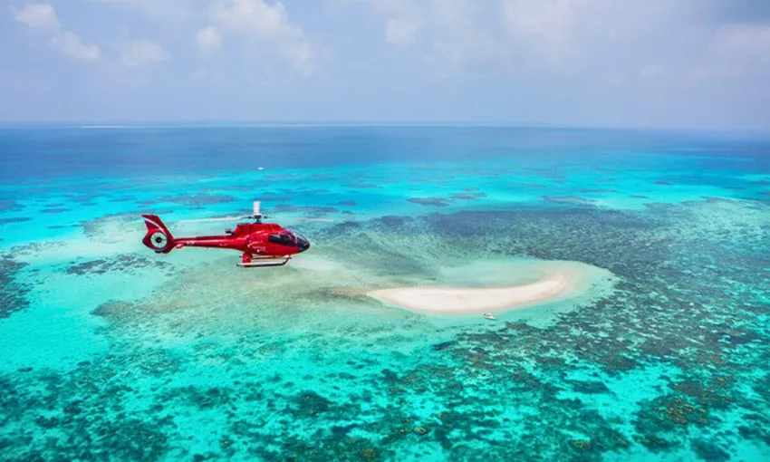 Great Barrier Reef and Rainforest Scenic Flight, 45 Minutes - Cairns