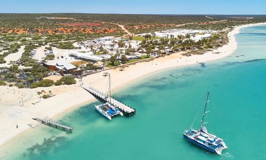 Scenic Flight to Shark Bay and Monkey Mia From Perth, Full Day