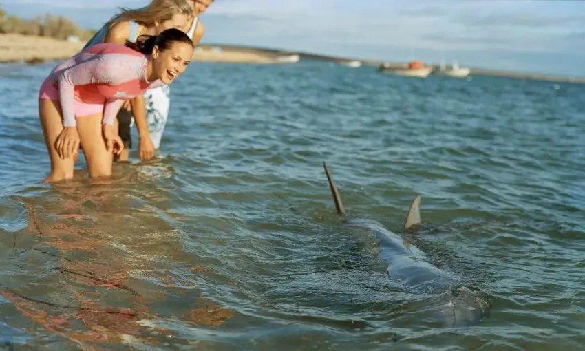 Scenic Flight to Shark Bay and Monkey Mia From Perth, Full Day