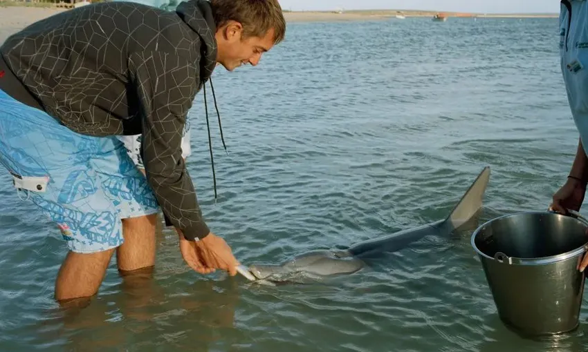 Scenic Flight to Shark Bay and Monkey Mia From Perth, Full Day