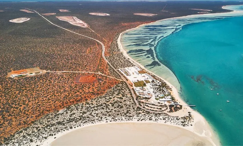 Scenic Flight to Shark Bay and Monkey Mia From Perth, Full Day