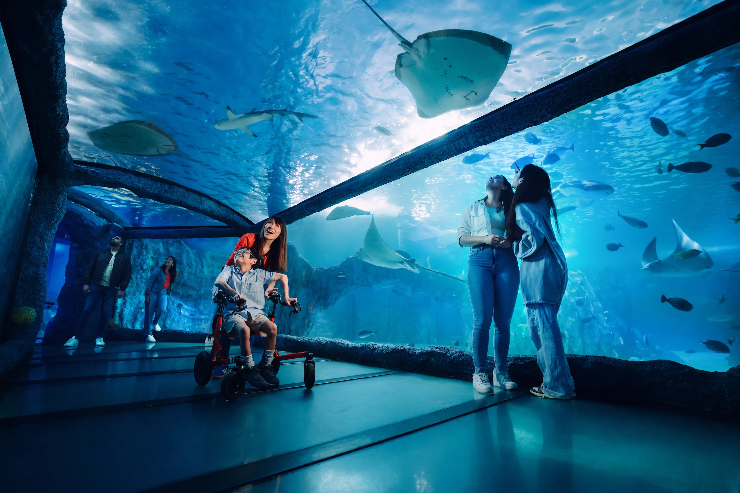 SEA LIFE Sydney Aquarium General Admission | Experience Oz-7