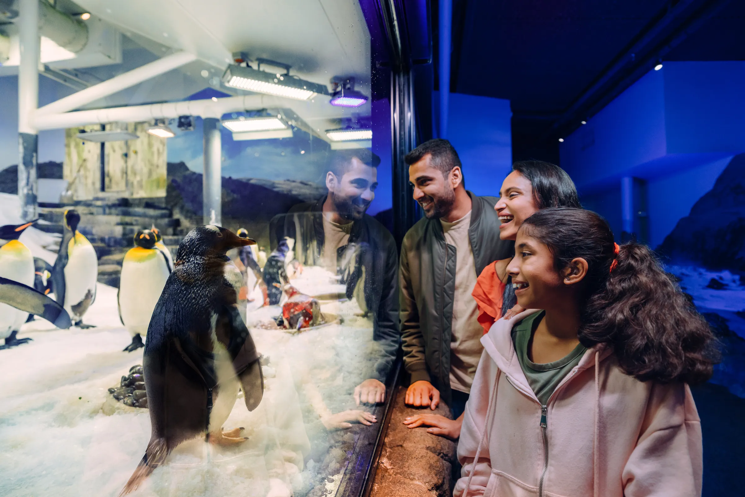 SEA LIFE Sydney Aquarium General Admission | Experience Oz-8