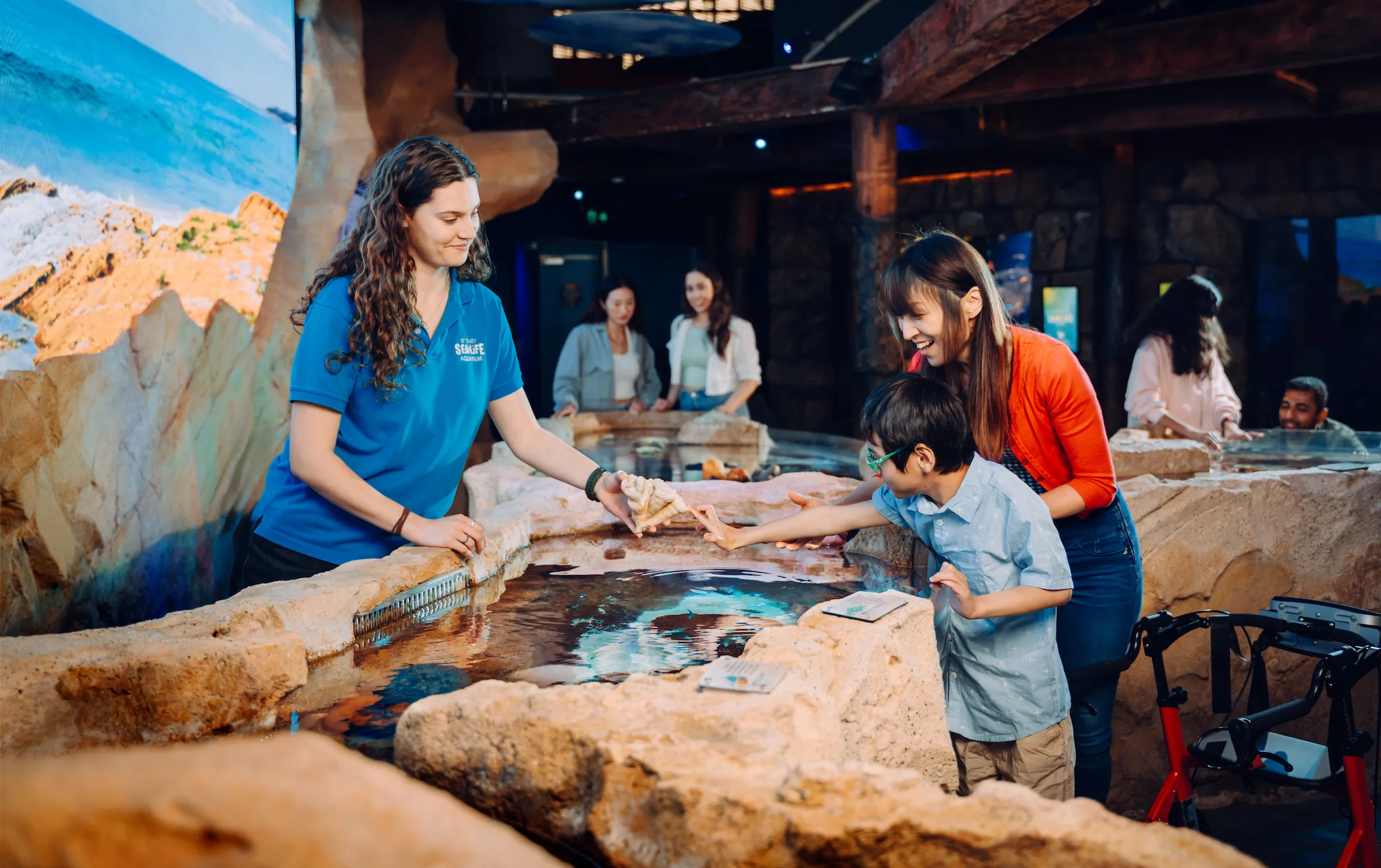 SEA LIFE Sydney Aquarium General Admission | Experience Oz-9