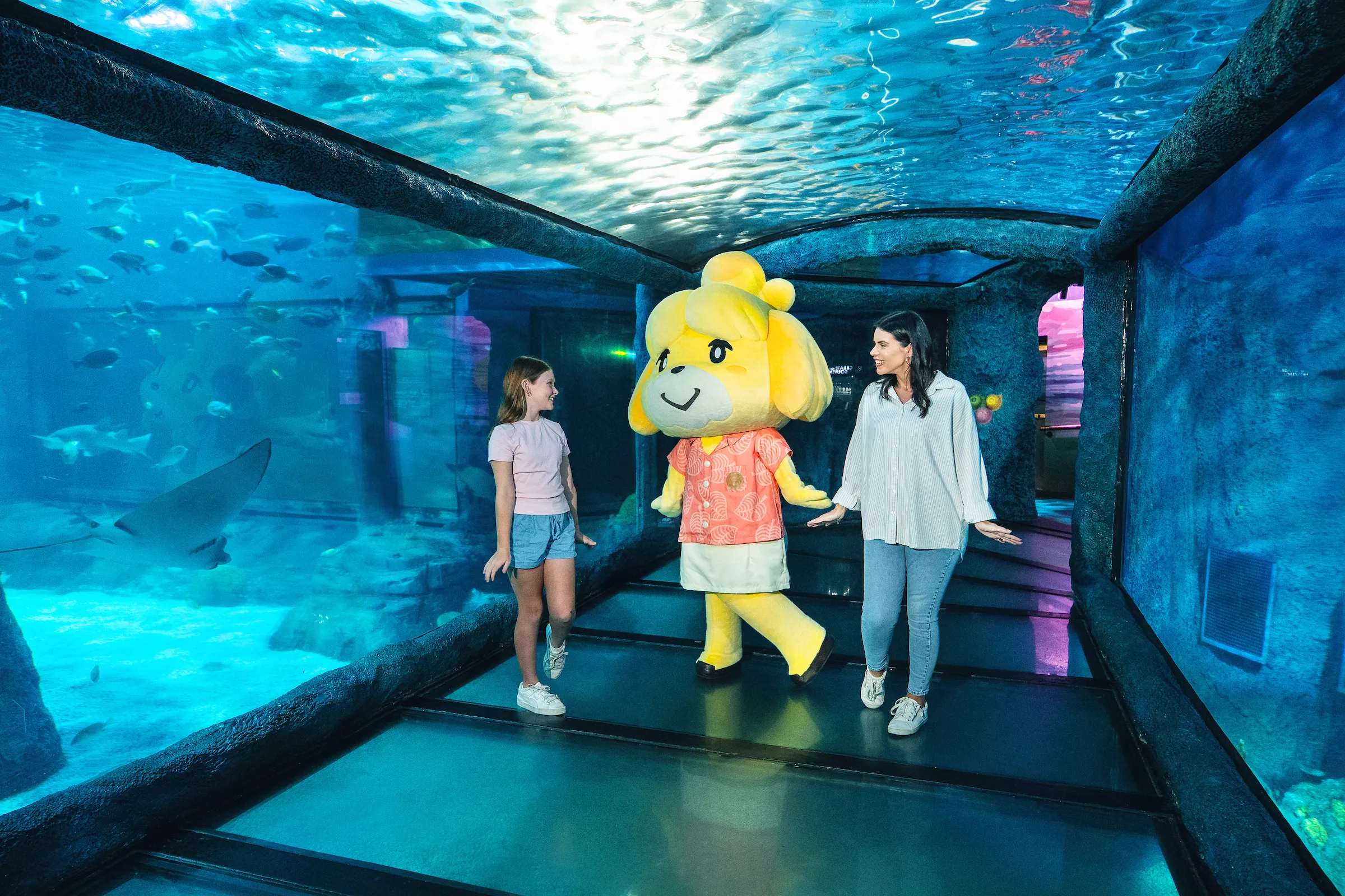 SEA LIFE Sydney Aquarium General Admission | Experience Oz-11